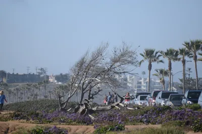 DSC_6973 (Large).JPG